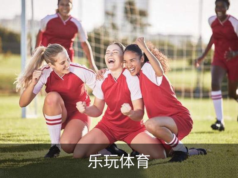 乐玩体育简介